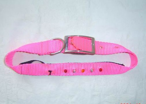 Pet Product Flash Collar(C-016) 